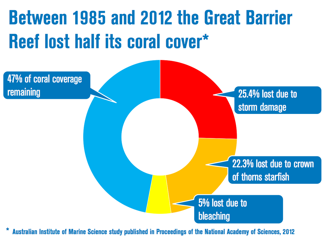 great barrier reef threats case study